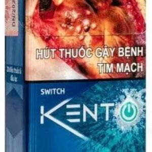 Kent Blast Vietnam Version – Carton (200 Cigarettes / 10 Packs)